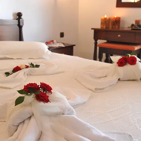 Hotel apartamentowy Kavousi Falasarna